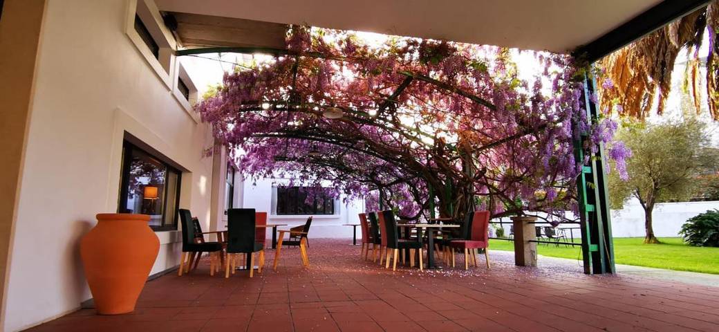 Location de vacances pour 2 personnes, avec vue et jardin à Villafranca del Bierzo - 4