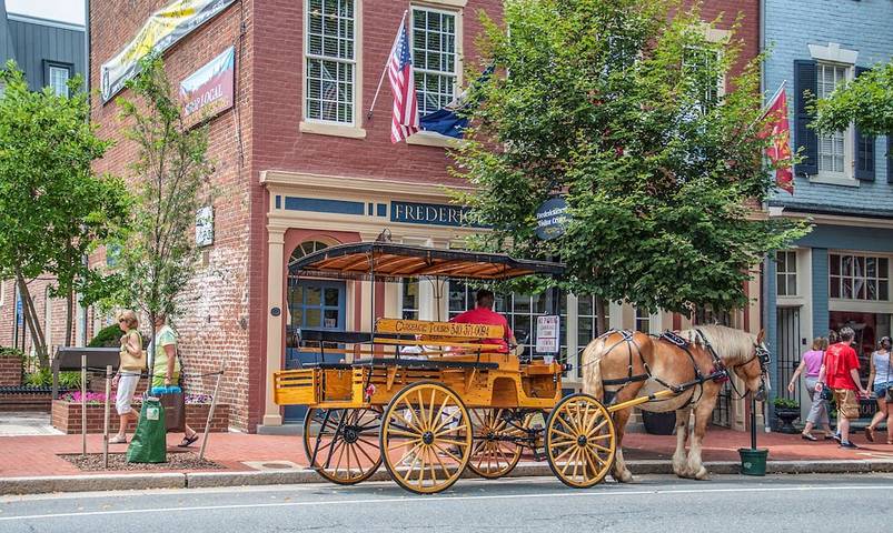 Vacation rental for 5 people in Northern Virginia