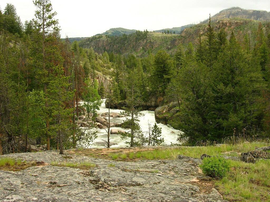 3 Schlafzimmer Kabine 20 Meilen von Ne Eingang des Yellowstone in Cody (WY), Absaroka Range