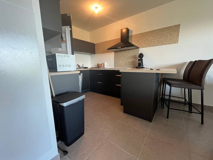 Gîte pour 4 personnes, avec terrasse et vue sur le lac à Évian-les-Bains - 2