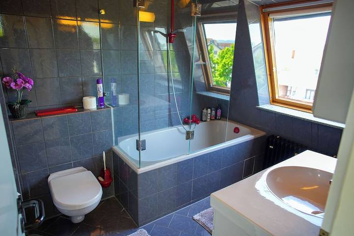 Ganze Wohnung, Schönes Studio in der Rheinebene, zentral gelegen in Rheinstetten, Rheinebene