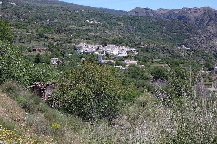 Apartamento para 2 personas, con jardín y balcón, Se admiten mascotas en La Taha