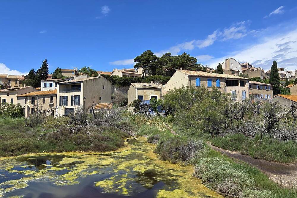 On the edge of a salt pond, house with terrace facing the water and pink flamingos in Bages (Aude), Mittelmeerküste (Frankreich)