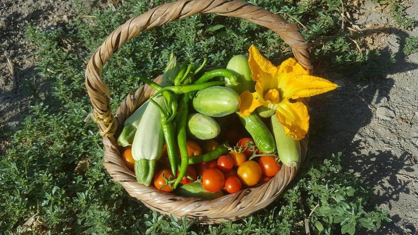 Maison d’hôte pour 3 personnes, avec jardin et vue à Chypre - 4