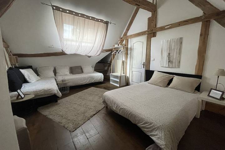 Location de vacances pour 14 personnes, avec jardin à Tour-en-Sologne - 4