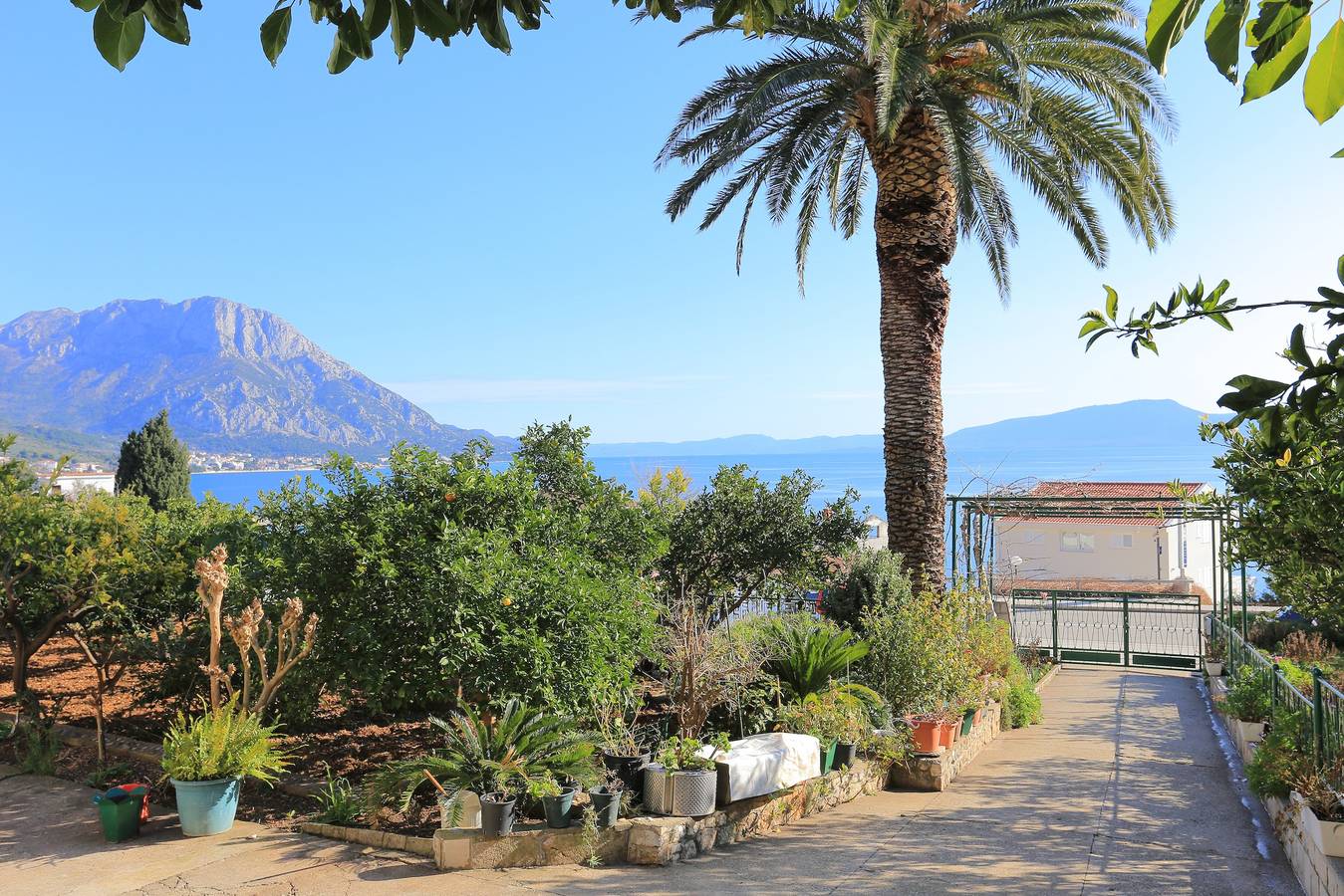 Ganze Wohnung, 1-Zimmer-Ferienwohnung mit Balkon Podaca, Makarska A-11588-a in Podaca, Makarska Riviera