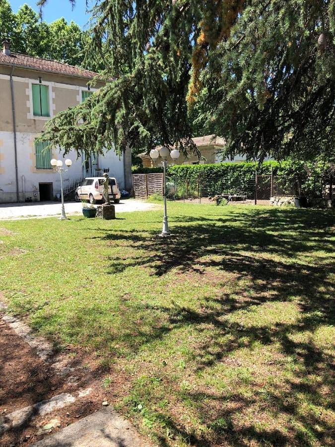 Le Parc aux Cedres in Laroque (Hérault), Région de Lodève