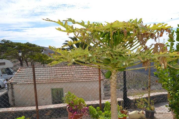 Casa rural para 4 personas, con vistas en Vallehermoso - 2