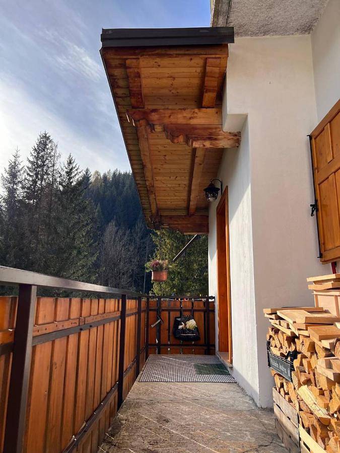 Gîte pour 3 personnes, avec jardin et vue à Santo Stefano di Cadore - 2