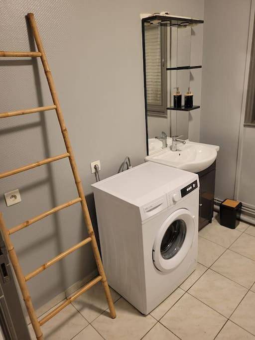 Gîte pour 6 personnes, avec terrasse, animaux acceptés à Armentières - 4