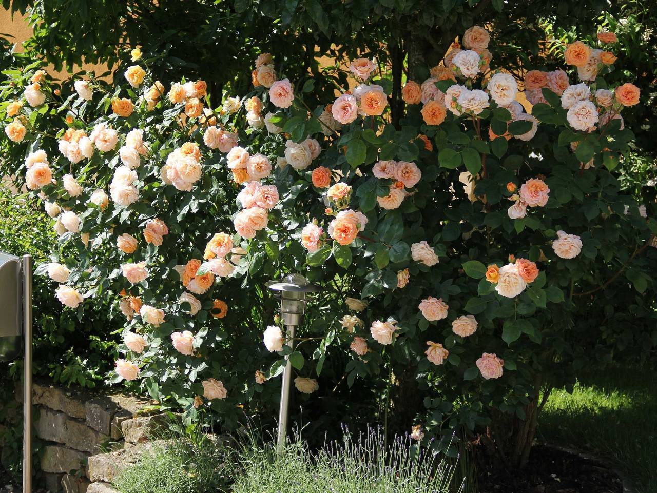 Ganze Ferienwohnung, Ferienwohnung am Rosengarten - Ferienwohnung am Rosengarten in Ebermannstadt, Fränkische Schweiz