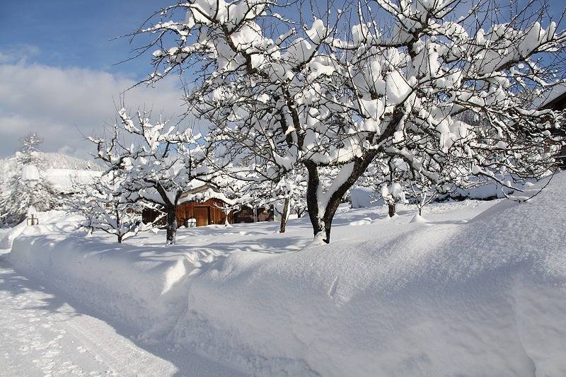 Ganze Ferienwohnung, Chalet Menkenhof - Ferienwohnung - Sonne-, 120m² und Balkon mit Bergblick in Reit im Winkl, Bayerische Alpen