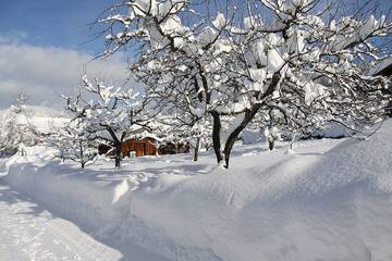 Hütte für 5 Personen in Reit im Winkl, Bayerische Alpen, Bild 3