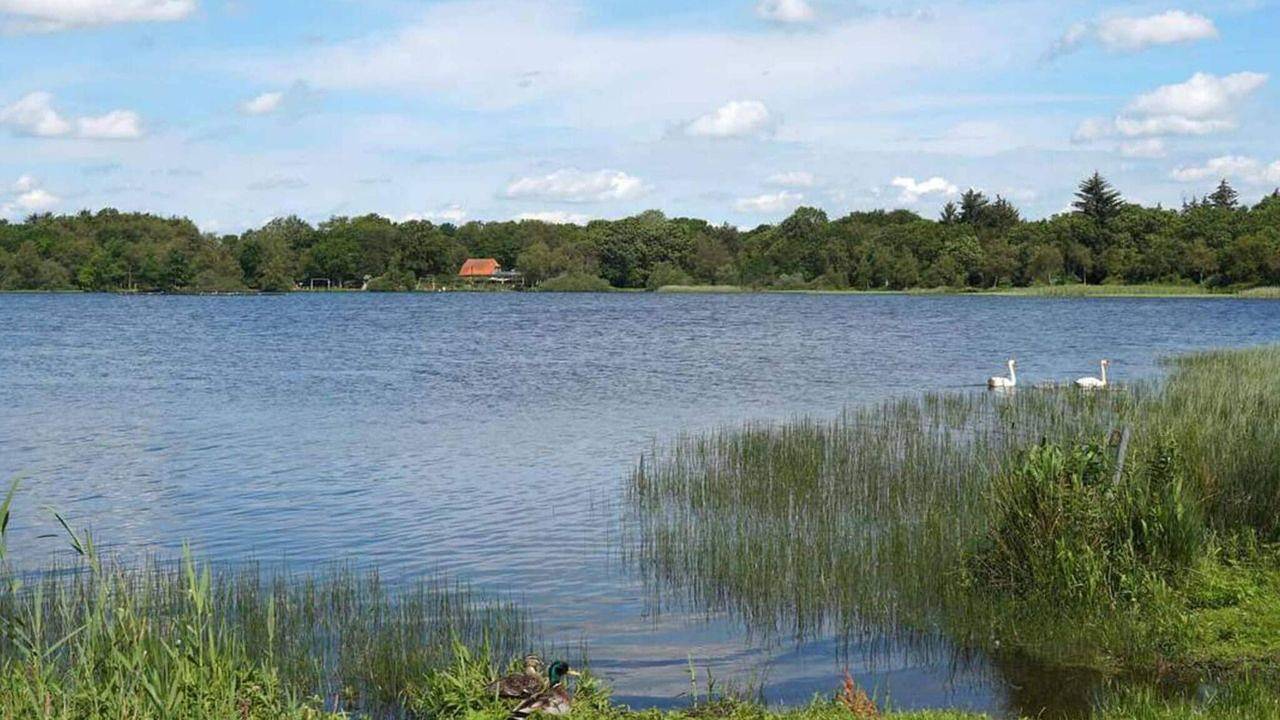 Ferienhaus für 7 Personen (82 m²) in Ansager in Varde