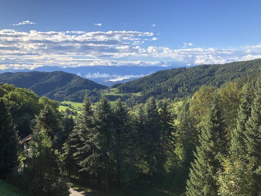 Ferienwohnung mit 1 Schlafzimmer in Mittelkärnten