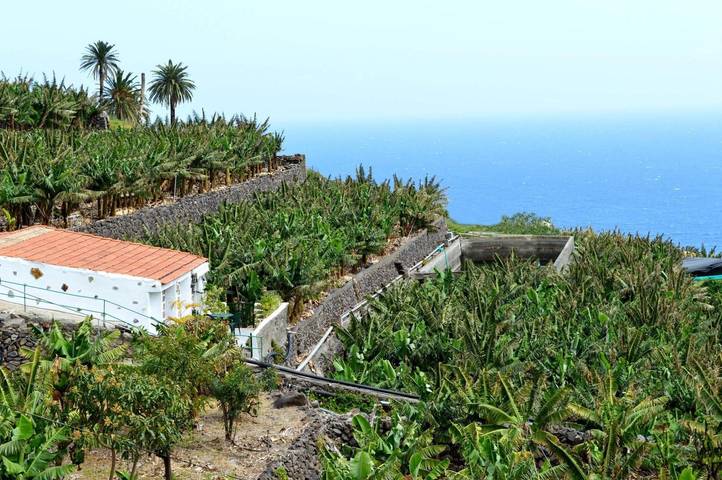 Casa rural para 4 personas, con jardín, Se admiten mascotas en La Gomera - 2