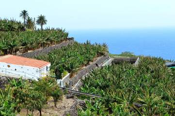 Finca für 4 Personen in Hermigua, La Gomera, Bild 1