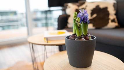 Boot für 6 Personen, mit Seeblick und Terrasse in Sachsen