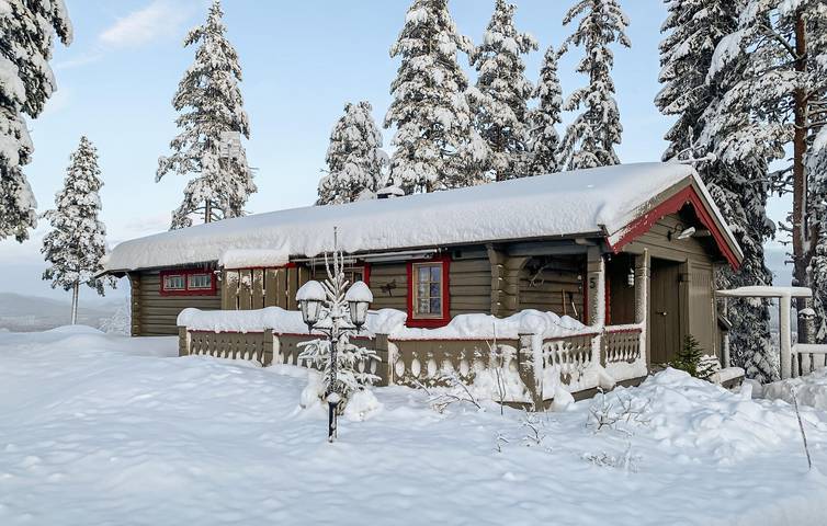 Ferienhaus für 8 Personen mit Terrasse in Ljördalen (Norwegen), Trysil