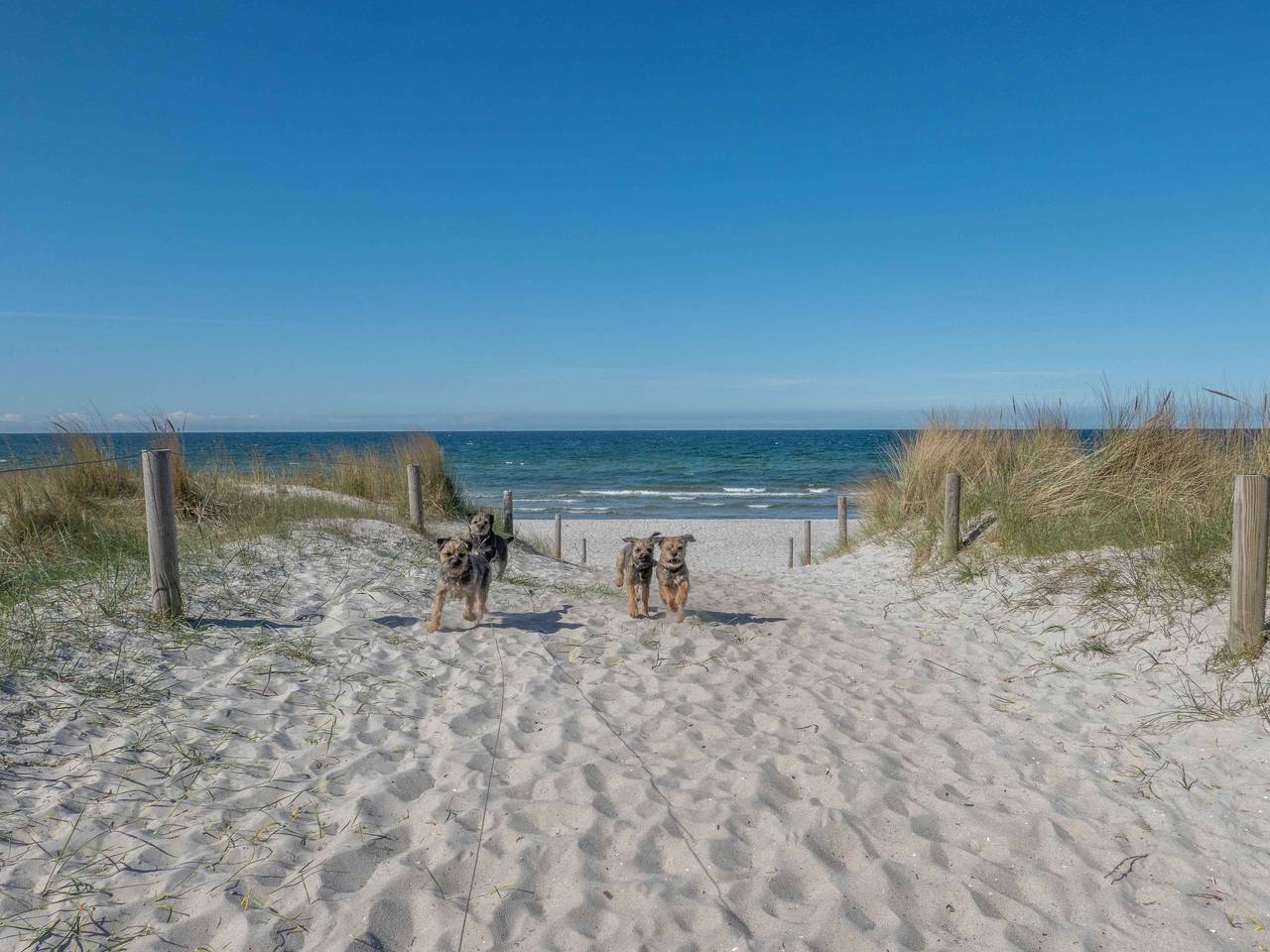 Ostsee in Pruchten, Vorpommern-Rügen