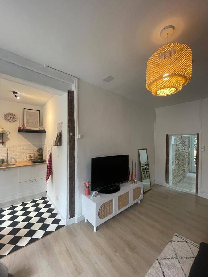 Location de vacances pour 4 personnes, avec terrasse, animaux acceptés à Beaumont-sur-Sarthe - 3