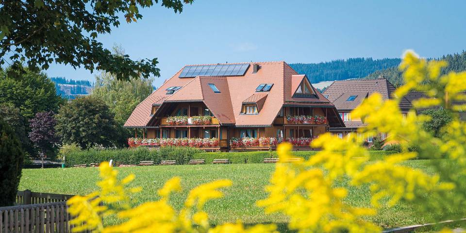 Hôtel pour 3 personnes, avec sauna ainsi que terrasse et jardin