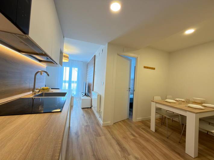 Ganze Wohnung, Modernes Studio in Candanchú, 4 Pers, 2 Betten in Candanchú, Aisa