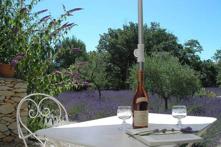 Chambre d’hôte pour 2 personnes, avec jardin à Lacoste - 4