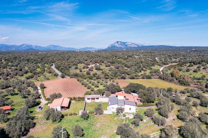 Gîte pour 4 personnes, avec jardin dans Dorgali - 3