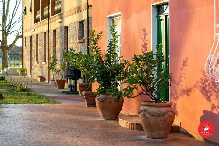 Maison de campagne pour 2 personnes, avec vue ainsi que terrasse et jardin, animaux acceptés à Carrare - 3