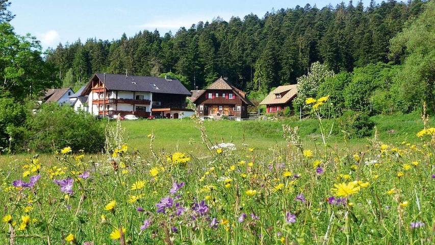 Ferienhaus für 3 Personen, mit Garten, mit Haustier in Freudenstadt
