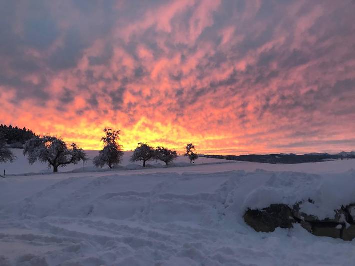 Bauernhof für 6 Personen, mit Balkon und Garten, kinderfreundlich in Oberschwaben - 2
