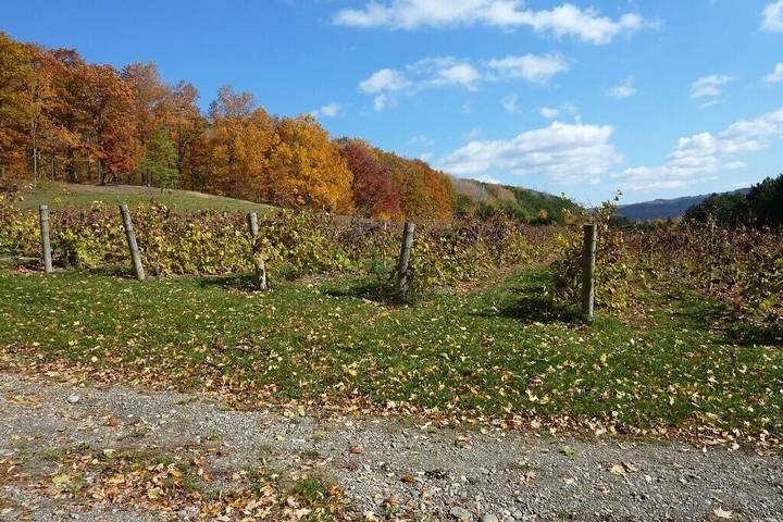 Vacation rental for 6 people, with terrace and yard, with pets in Canandaigua Lake