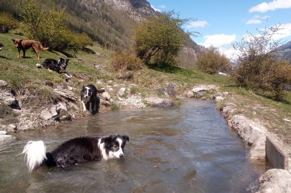 Ganze Wohnung, Abseits  -  Urlaub mit Hund - Ferienwohnung Abseits in Pfunds, Tiroler Oberland