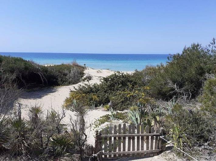 Appartamento per 4 persone, con Terrazza e Giardino nonché Panorama a Padula Bianca