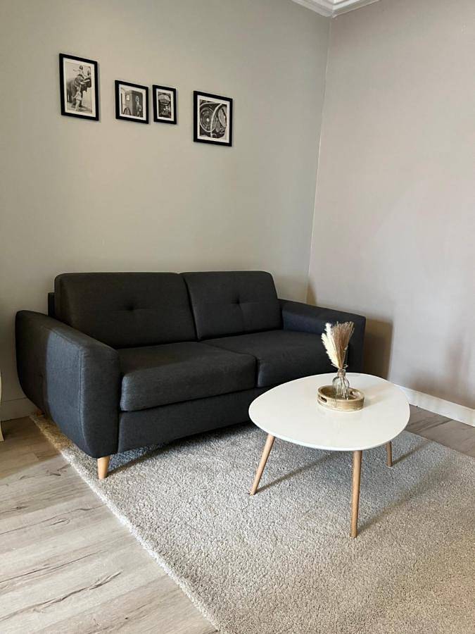 Appartement entier, Maison de ville - 7 couchages in Saint-Pierre-le-Moûtier, Nièvre