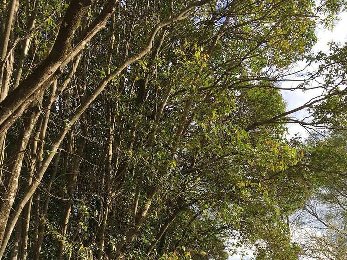 Gîte pour 3 personnes à Suze-la-Rousse - 2