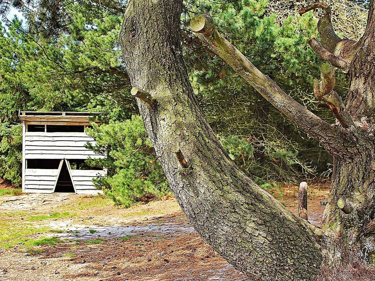 7 person holiday home in Ulfborg-By Traum in Nørhede Vest, Ulfborg