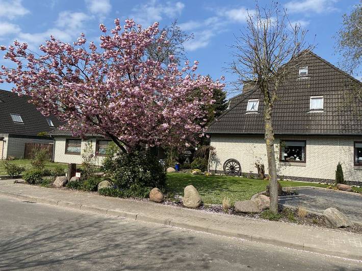 Ganze Ferienwohnung, Haus Landberg - 2-Raum-Fewo Steuerbord in Büsum, Kreis Dithmarschen