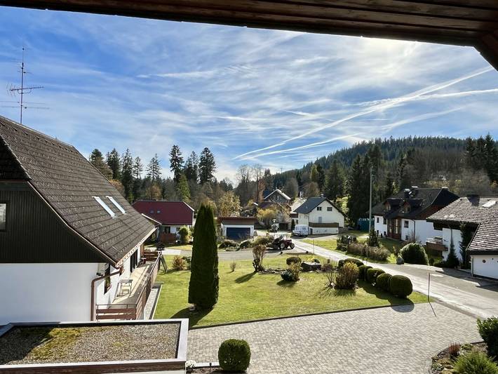 Ferienwohnung für 3 Personen, mit Balkon und Garten sowie Ausblick in Schluchsee - 4