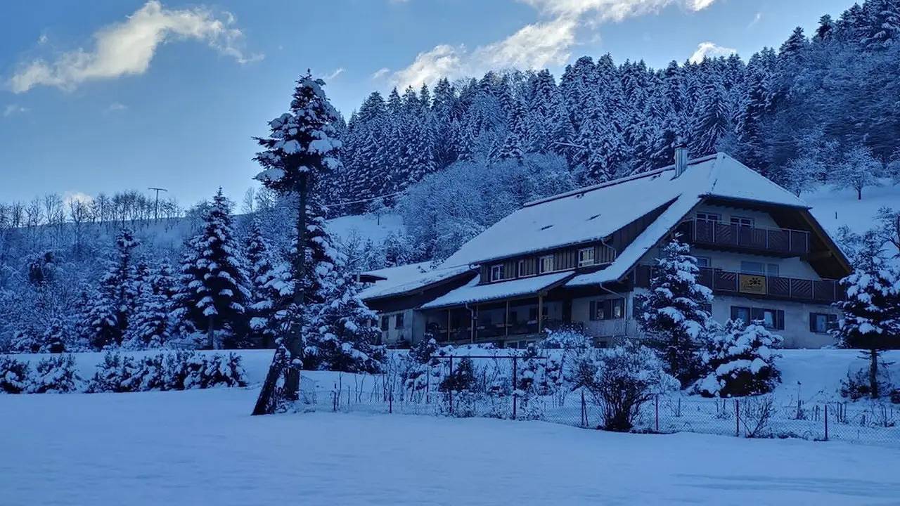 Bauernhof für 6 Personen (110 m²) in Oppenau in Oppenau, Mittlerer Schwarzwald