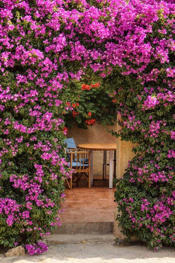 Apartamento de vacaciones para 2 personas, con terraza - 1