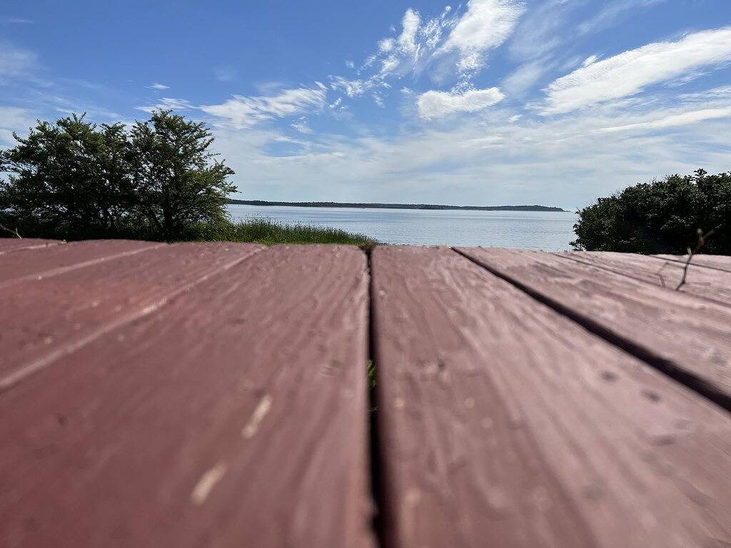 Cozy cottage, steps from the beach. in Washington County (Maine)