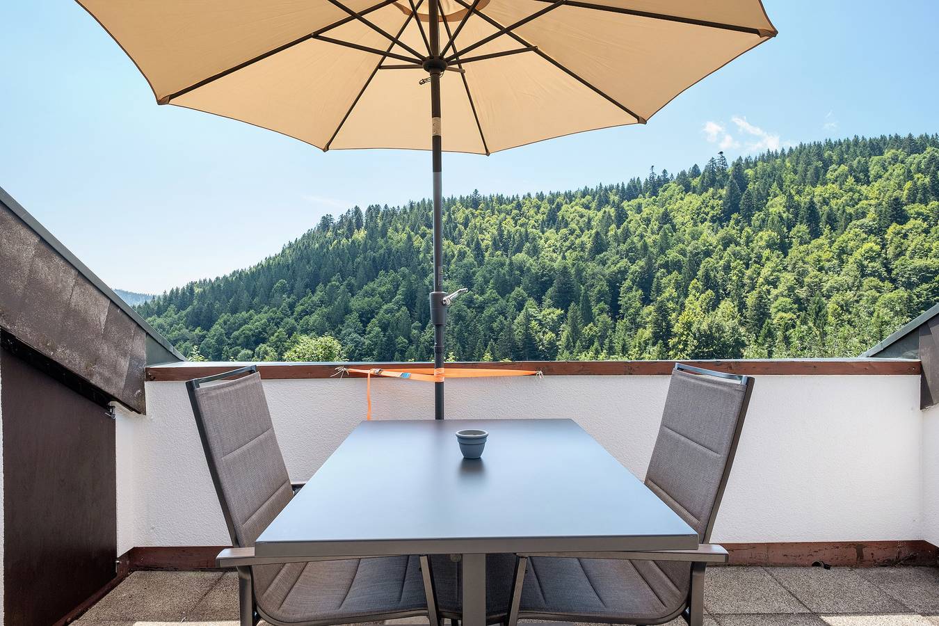 Ganze Wohnung, Apartment 'Mental Fit, 11, Todtmoos' mit Bergblick, privater Terrasse und Wlan in Todtmoos, Südschwarzwald