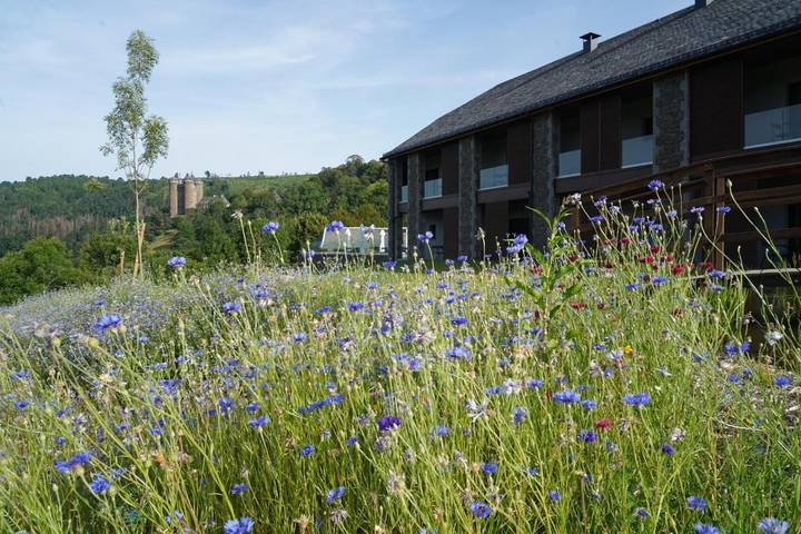 Hôtel pour 2 personnes, avec piscine et sauna ainsi que vue et jardin dans Tournemire (Cantal)