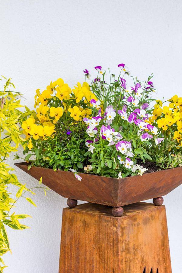 B&b für 3 Personen, mit Balkon und Terrasse sowie Garten und Sauna in Leogang