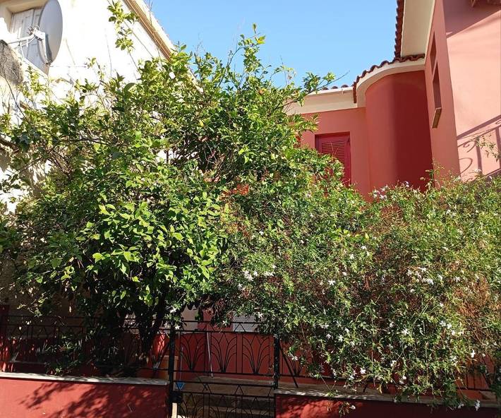 Ferienwohnung für 5 Personen, mit Ausblick und Terrasse - 1