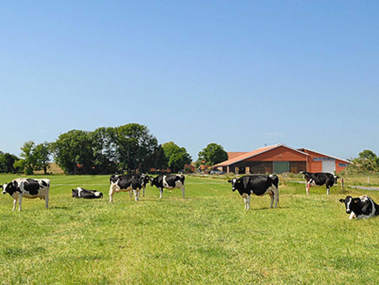 Ferienhof Polderhof in Bensersiel - Ferienwohnung Findus in Dornum, Landkreis Aurich