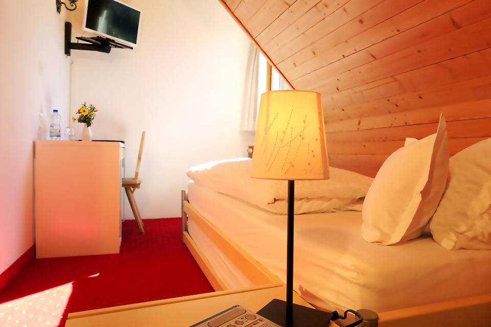 Hotel Gabriel - Double room with shower/toilet, medium in Scuol, Lower Engadine