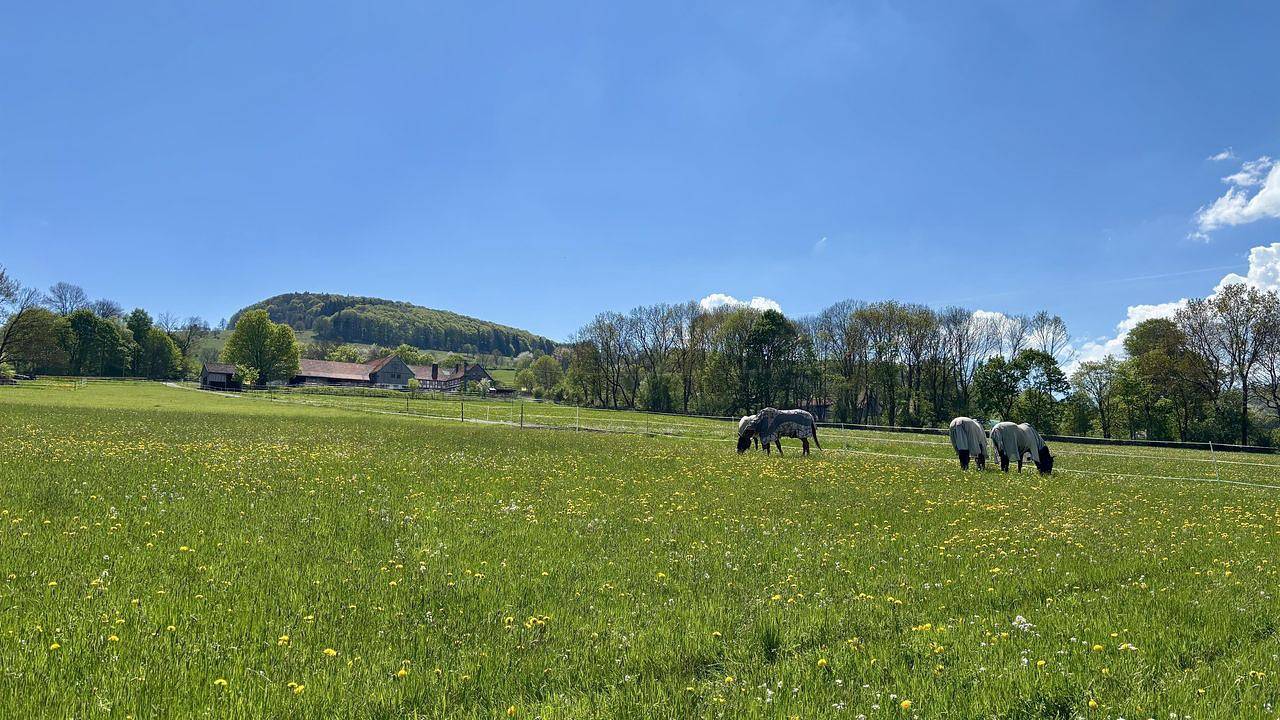 Ganze Ferienwohnung, Ferienwohnung für 4 Personen (60 m²) in Ehrenberg (Hessen) in Ehrenberg, Rhön-Hessen